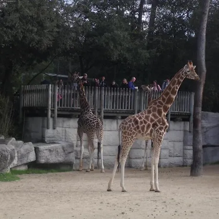 Les Charmettes Üdülőpark Les Mathes