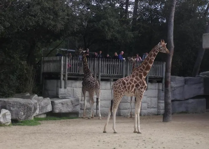 Les Charmettes Aldeamento Turístico Les Mathes